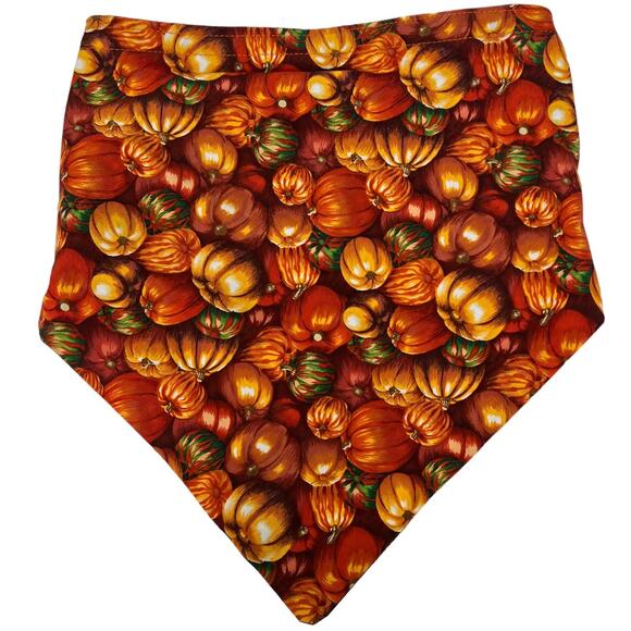 Fall Themed Pumpkin Patch Bandana with Hook & Loop Closure - Picture 1 of 10